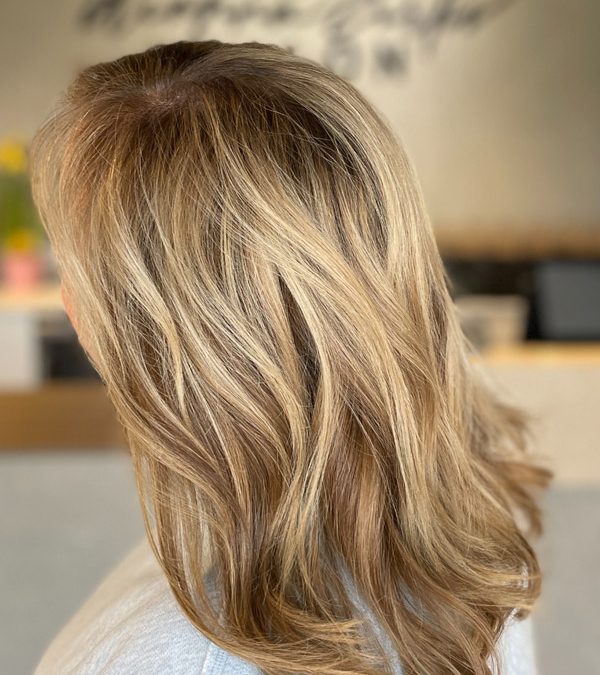 Category 3 + Haircut (Gray Coverage + Balayage)