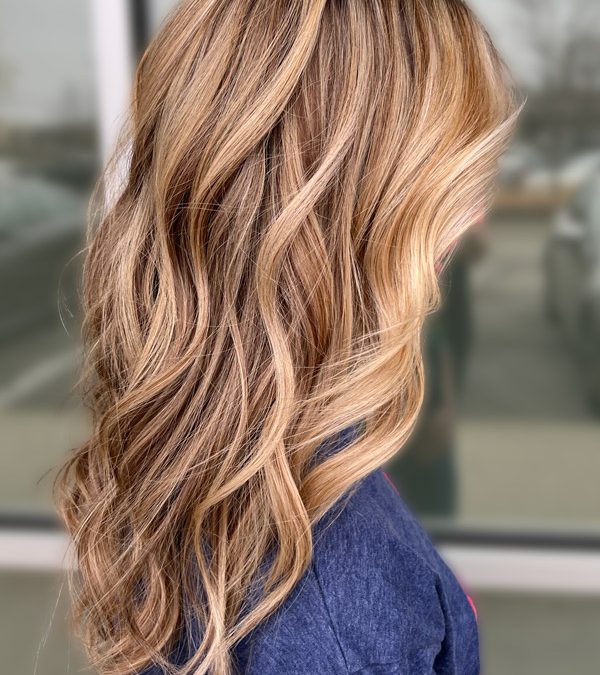 Category 3 + Haircut (Full Balayage)