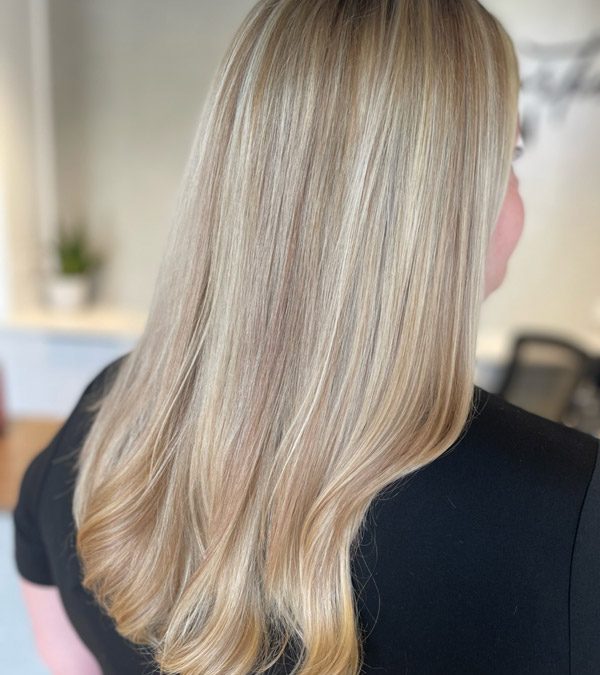 Category 3 + Haircut (Full Highlights)